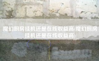 魔幻厨房挂机还是在线收益高(魔幻厨房挂机还是在线收益高)