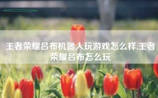 王者荣耀吕布机器人玩游戏怎么样,王者荣耀吕布怎么玩
