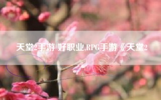 天堂2手游 好职业,RPG手游《天堂2