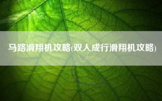 马路滑翔机攻略(双人成行滑翔机攻略)