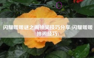 闪耀暖暖谜之阁抽奖技巧分享(闪耀暖暖抽阁技巧)