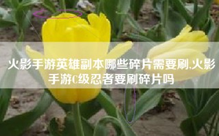 火影手游英雄副本哪些碎片需要刷,火影手游C级忍者要刷碎片吗