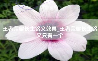 王者荣耀长生铭文效果_王者荣耀长生铭文只有一个
