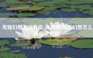 龙族幻想怎么升级5级厨师(龙族幻想怎么升级快教程)