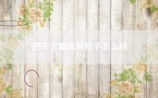 逆生之都流浪枪手怎么样