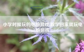 小学时候玩的电脑游戏,放学回家就玩电脑游戏