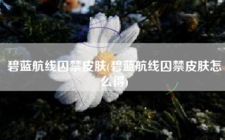 碧蓝航线囚禁皮肤(碧蓝航线囚禁皮肤怎么得)
