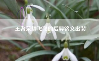 王者荣耀飞飞的后羿铭文出装