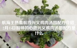 航海王热血航线兴义鸡肉汤圆配方介绍_2月15日厨师的心愿兴义鸡肉汤圆配方是什么