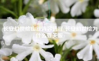 长安幻世绘山族阵容选择(长安幻世绘为什么要关服)