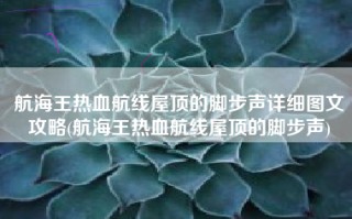 航海王热血航线屋顶的脚步声详细图文攻略(航海王热血航线屋顶的脚步声)