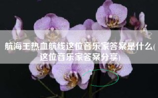 航海王热血航线这位音乐家答案是什么(这位音乐家答案分享)