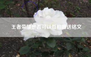 王者荣耀是否可以互相赠送铭文