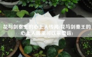 花与剑秦王的心上人传闻(花与剑秦王的心上人哪里可以采蘑菇)