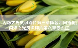 闪烁之光灵识碎片第三章阵容如何搭配(闪烁之光灵识碎片第六章怎么过)