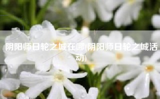 阴阳师日轮之城在哪(阴阳师日轮之城活动)