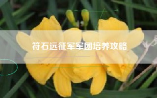 符石远征军军团培养攻略