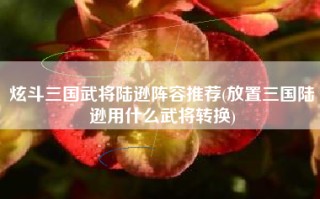 炫斗三国武将陆逊阵容推荐(放置三国陆逊用什么武将转换)