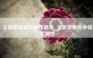 王者荣耀铭文属性提升_王者荣耀纷争铭文属性