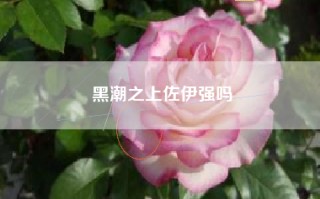 黑潮之上佐伊强吗