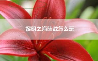 黎明之海陆战怎么玩