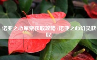 诺亚之心军票获取攻略 (诺亚之心幻灵获取)