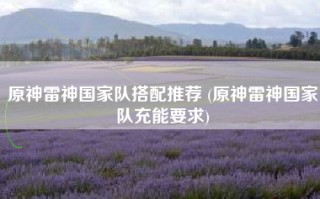 原神雷神国家队搭配推荐 (原神雷神国家队充能要求)