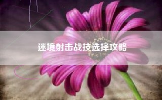 迷境射击战技选择攻略