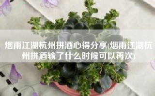 烟雨江湖杭州拼酒心得分享(烟雨江湖杭州拼酒输了什么时候可以再次)