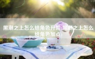 黑潮之上怎么给角色升阶(黑潮之上怎么给角色加点)