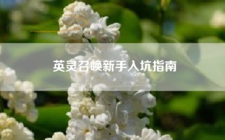 英灵召唤新手入坑指南