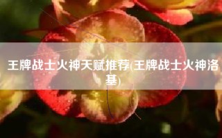 王牌战士火神天赋推荐(王牌战士火神洛基)