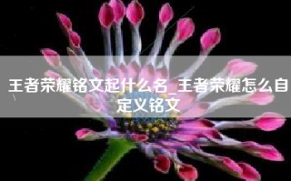 王者荣耀铭文起什么名_王者荣耀怎么自定义铭文