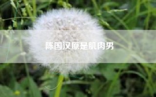 陈国汉原是肌肉男