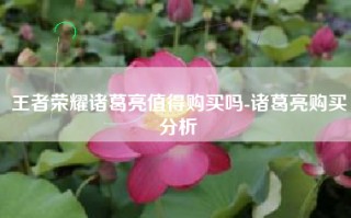 王者荣耀诸葛亮值得购买吗-诸葛亮购买分析