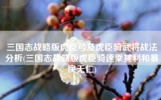 三国志战略版虎臣弓及虎臣骑武将战法分析(三国志战略版虎臣骑速乘其利和暴戾无仁)