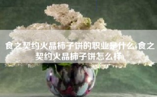 食之契约火晶柿子饼的职业是什么(食之契约火晶柿子饼怎么样)