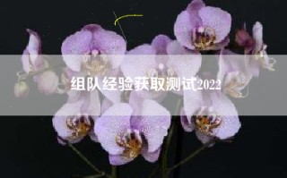 组队经验获取测试2022