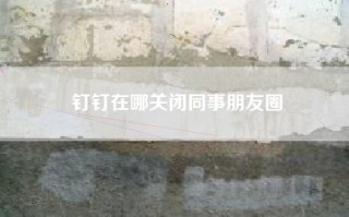 钉钉在哪关闭同事朋友圈