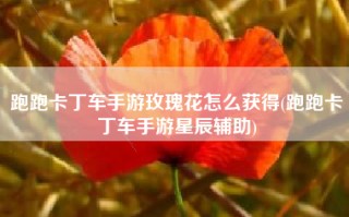 跑跑卡丁车手游玫瑰花怎么获得(跑跑卡丁车手游星辰辅助)