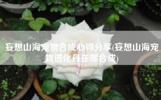 妄想山海宠物合成心得分享(妄想山海宠物进化丹在哪合成)