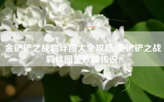 金铲铲之战羁绊图大全攻略(金铲铲之战羁绊图鉴双城传说)