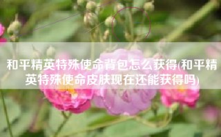 和平精英特殊使命背包怎么获得(和平精英特殊使命皮肤现在还能获得吗)