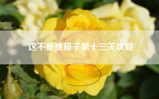 这不是推箱子第十三关攻略