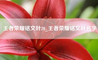 王者荣耀铭文叶20_王者荣耀铭文叶名字