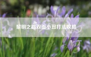 黎明之路双面小丑打法攻略