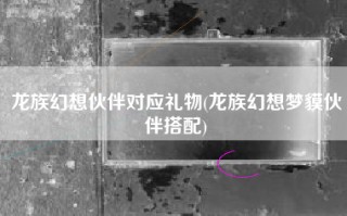 龙族幻想伙伴对应礼物(龙族幻想梦貘伙伴搭配)