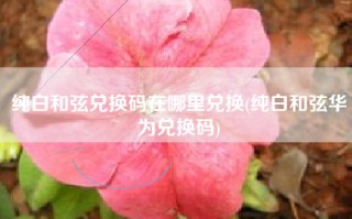 纯白和弦兑换码在哪里兑换(纯白和弦华为兑换码)