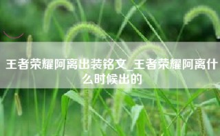 王者荣耀阿离出装铭文_王者荣耀阿离什么时候出的