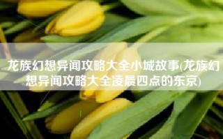 龙族幻想异闻攻略大全小城故事(龙族幻想异闻攻略大全凌晨四点的东京)